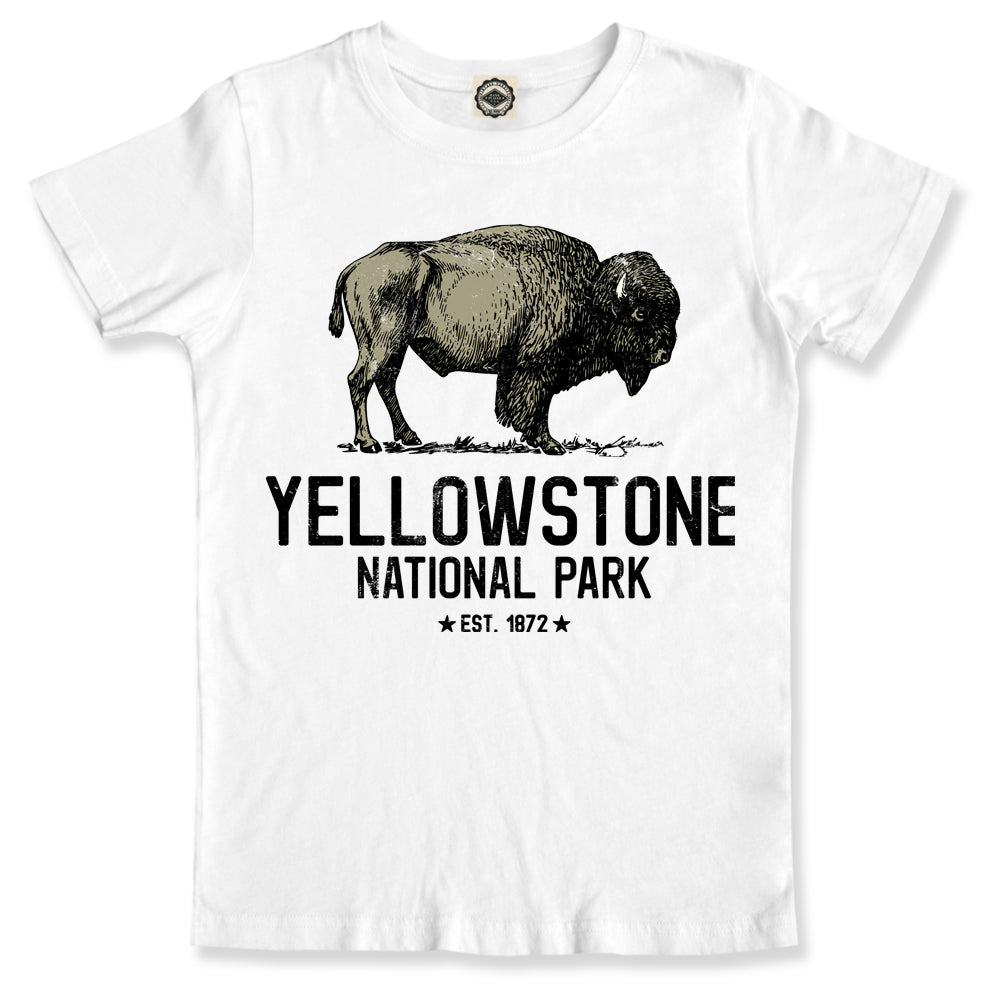 Yellowstone National Park 1872 Men's Tee