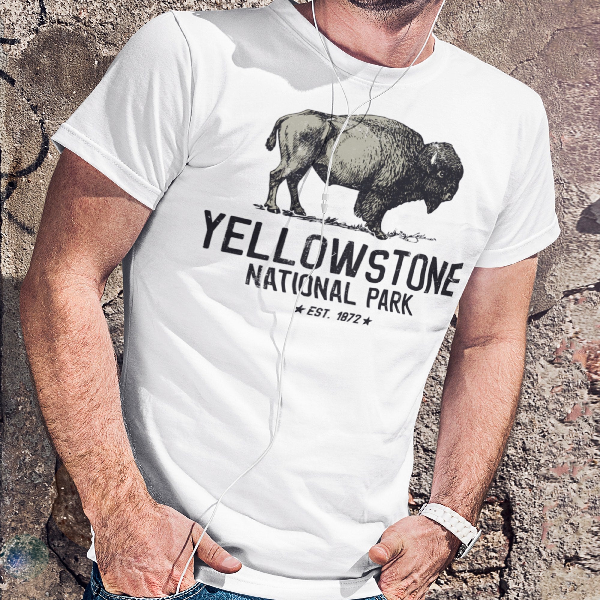 Yellowstone National Park 1872 Men's Tee